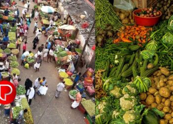 ഓണത്തിന് ഇക്കുറിയും ‘ഒരു മുറം പച്ചക്കറി’ പദ്ധതി; അടുത്തയാഴ്ച കോഴിക്കോട് ജില്ലയില്‍ തുടക്കമാകും