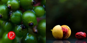 സുഗന്ധവ്യഞ്ജന പട്ടികയിലേക്ക് പുതിയ ആറിനങ്ങള്‍