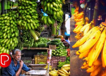 ഓണം അടുത്തു; കുതിച്ചുയർന്ന് പഴം വില; ആശ്വാസം പച്ചക്കറി