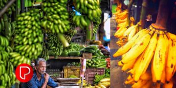 ഓണം അടുത്തു; കുതിച്ചുയർന്ന് പഴം വില; ആശ്വാസം പച്ചക്കറി