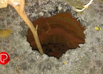 തെങ്ങിലക്കടവിന് സമീപം റോഡിൽ വലിയ ഗര്‍ത്തം; ബൈക്ക് യാത്രികൻ രക്ഷപ്പെട്ടത് തലനാരിഴയ്ക്ക്