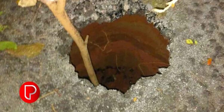 തെങ്ങിലക്കടവിന് സമീപം റോഡിൽ വലിയ ഗര്‍ത്തം; ബൈക്ക് യാത്രികൻ രക്ഷപ്പെട്ടത് തലനാരിഴയ്ക്ക്