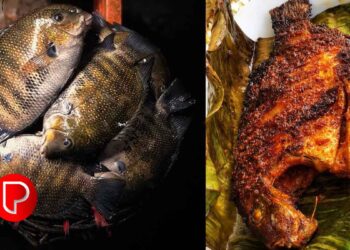 പെരുവണ്ണാമൂഴി കൃഷി വിജ്ഞാന കേന്ദ്രം ശുദ്ധജല ഭക്ഷ്യ മത്സ്യകൃഷി എന്ന വിഷയത്തില്‍ ഏകദിന പരിശീലന പരിപാടി സംഘടിപ്പിക്കുന്നു