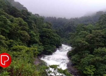 മഴ മാറി; കോഴിപ്പാറ വാട്ടർ ടൂറിസം കേന്ദ്രത്തിൽ വിനോദസഞ്ചാരികളെത്തി