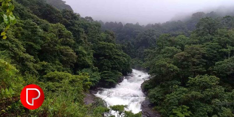 മഴ മാറി; കോഴിപ്പാറ വാട്ടർ ടൂറിസം കേന്ദ്രത്തിൽ വിനോദസഞ്ചാരികളെത്തി