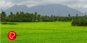 ഇന്ന് ചിങ്ങം ഒന്ന്: മലയാള വര്‍ഷത്തിന്റെ പുതുവര്‍ഷ ആരംഭവും കര്‍ഷക ദിനവും