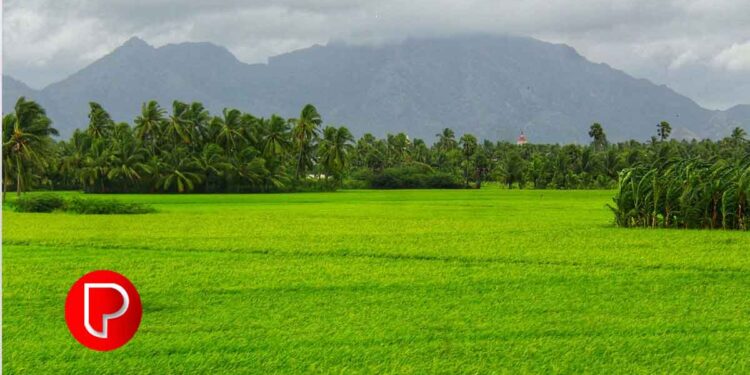ഇന്ന് ചിങ്ങം ഒന്ന്: മലയാള വര്‍ഷത്തിന്റെ പുതുവര്‍ഷ ആരംഭവും കര്‍ഷക ദിനവും