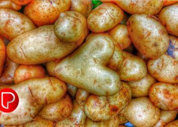 മുഖത്തെ കറുത്ത പാടുകള്‍ മുതല്‍ ചുളിവുകള്‍ വരെ; ഉരുളക്കിഴങ്ങ് ഇങ്ങനെ ഉപയോഗിക്കൂ…