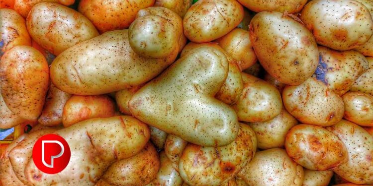 മുഖത്തെ കറുത്ത പാടുകള്‍ മുതല്‍ ചുളിവുകള്‍ വരെ; ഉരുളക്കിഴങ്ങ് ഇങ്ങനെ ഉപയോഗിക്കൂ…