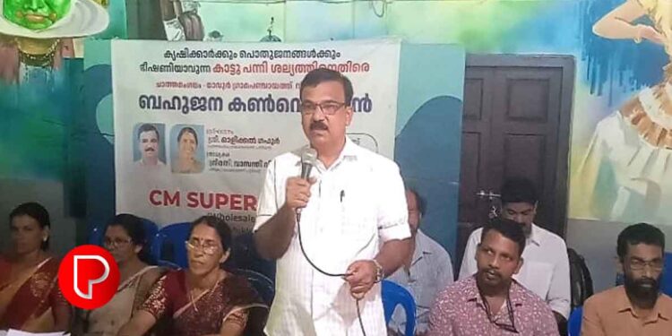 കാട്ടുപന്നിശല്യത്തിനെതിരെ ബഹുജന കൺവെൻഷൻ സംഘടിപ്പിച്ചു