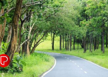 വയനാട് ദുരന്തം; ബന്ദിപ്പൂർ ദേശീയപാതയിൽ രാത്രിയാത്ര അനുവദിക്കണമെന്ന ആവശ്യം കേന്ദ്രം തള്ളി