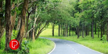 വയനാട് ദുരന്തം; ബന്ദിപ്പൂർ ദേശീയപാതയിൽ രാത്രിയാത്ര അനുവദിക്കണമെന്ന ആവശ്യം കേന്ദ്രം തള്ളി