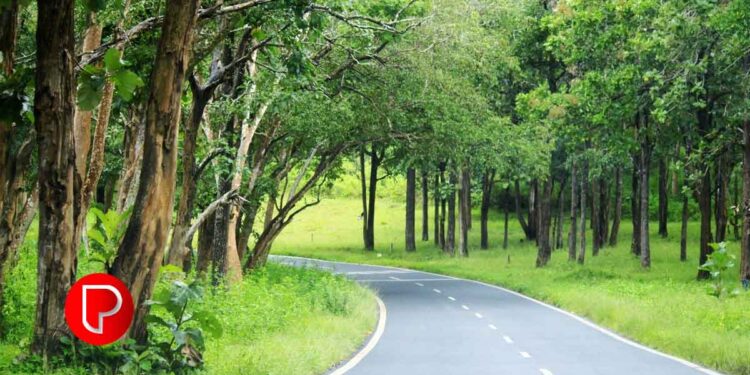 വയനാട് ദുരന്തം; ബന്ദിപ്പൂർ ദേശീയപാതയിൽ രാത്രിയാത്ര അനുവദിക്കണമെന്ന ആവശ്യം കേന്ദ്രം തള്ളി