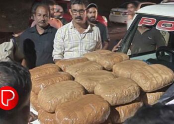 കൊടുവള്ളിയിൽ വൻ കഞ്ചാവ് വേട്ട; 53 കിലോ കഞ്ചാവുമായി യുവാവ് പിടിയിൽ