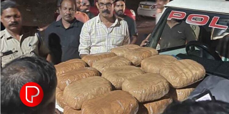 കൊടുവള്ളിയിൽ വൻ കഞ്ചാവ് വേട്ട; 53 കിലോ കഞ്ചാവുമായി യുവാവ് പിടിയിൽ