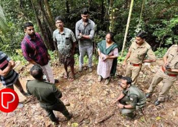 കൂമ്പാറ ആനയോട് പുലി സാന്നിധ്യം; വളർത്തുനായയെ കൊന്നതായി സംശയം
