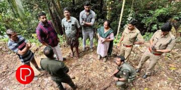 കൂമ്പാറ ആനയോട് പുലി സാന്നിധ്യം; വളർത്തുനായയെ കൊന്നതായി സംശയം