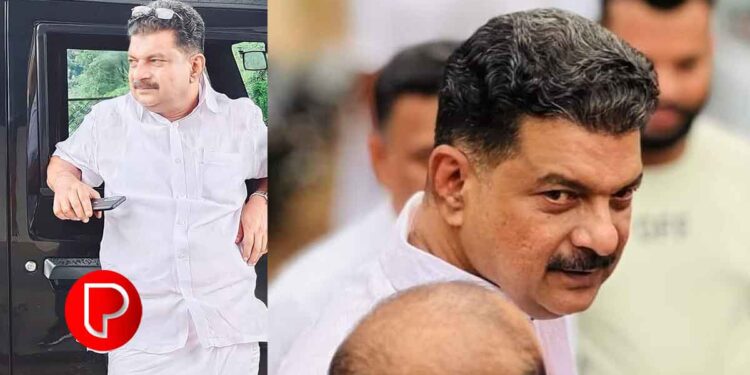 പി വി അന്‍വറിന്റെ പാര്‍ക്കിലെ അനധികൃത നിര്‍മാണം; കൂടരഞ്ഞി പഞ്ചായത്ത് നടപടികള്‍ ഊര്‍ജിതമാക്കി