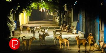 പാർക്കിംഗ് ഫീസ് ഇരട്ടിയോളം വർദ്ധിപ്പിച്ചു; ഓട്ടോറിക്ഷകൾ വടകര റെയിൽവേ സ്റ്റേഷനിൽ നിന്ന് കുടിയിറക്കി