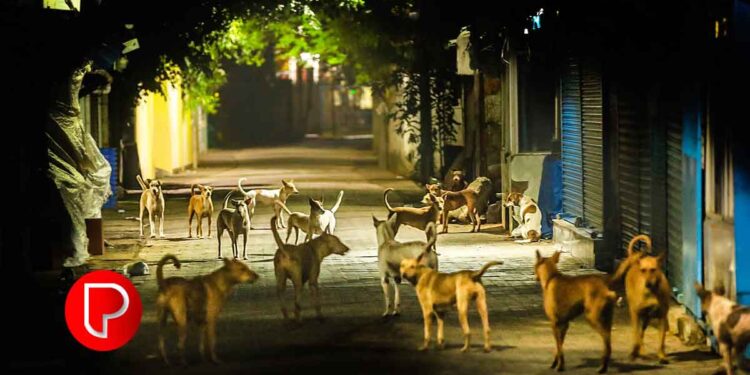 പാർക്കിംഗ് ഫീസ് ഇരട്ടിയോളം വർദ്ധിപ്പിച്ചു; ഓട്ടോറിക്ഷകൾ വടകര റെയിൽവേ സ്റ്റേഷനിൽ നിന്ന് കുടിയിറക്കി