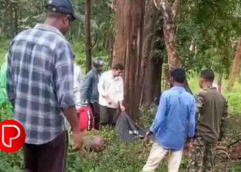 മുത്തങ്ങയില്‍ മാൻ കുറുകെ ചാടി; വെള്ളിമാടുകുന്ന് സ്വദേശിയായ ബൈക്ക് യാത്രികൻ മരിച്ചു