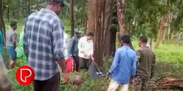 മുത്തങ്ങയില്‍ മാൻ കുറുകെ ചാടി; വെള്ളിമാടുകുന്ന് സ്വദേശിയായ ബൈക്ക് യാത്രികൻ മരിച്ചു