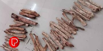 പനങ്ങാട് കണ്ണാടിപ്പൊയില്‍ വീട്ടില്‍ സൂക്ഷിച്ച 38 ചന്ദന മുട്ടികള്‍ പിടികൂടി