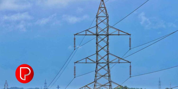 നടുവട്ടത്ത് നിർമ്മാണത്തിലിരുന്ന വീടിന്റെ ഗേറ്റ് മോഷ്ടിച്ച രണ്ടംഗ സംഘം പൊലീസ് പിടിയിൽ