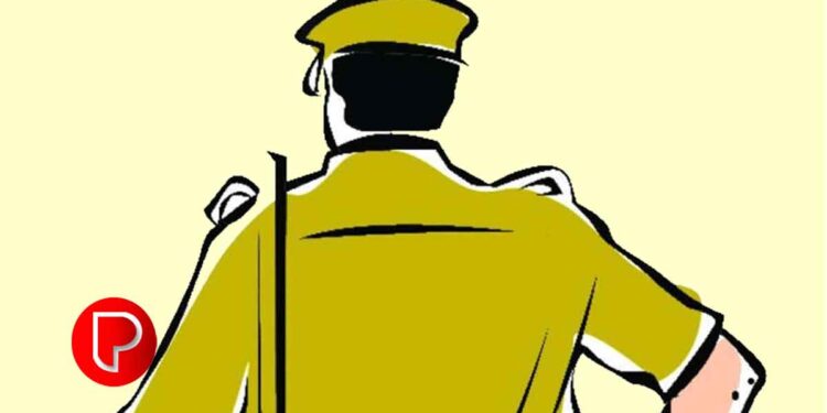 കോഴിക്കോട് നിരവധി മോഷണക്കേസുകളിലെ പ്രതി കഞ്ചാവുമായി പിടിയിൽ