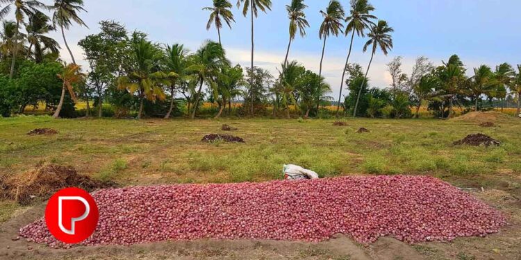 ‘സവാള ഗിരിഗിരിയാൻ അല്പം പാട് പെടും’; വിപണിയിൽ ഉള്ളി വില കുതിച്ചുയരുന്നു