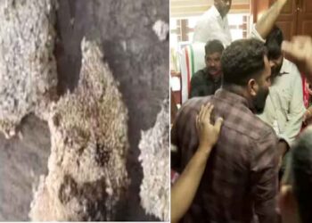 ചൂരൽമല ദുരന്ത ബാധിതർക്ക്‌ നൽകിയ ഭക്ഷ്യക്കിറ്റില്‍ പുഴുവരിച്ച ഭക്ഷ്യവസ്തുക്കൾ ; മേപ്പാടി പഞ്ചായത്തിൽ പ്രതിഷേധം