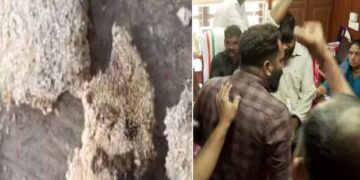 ചൂരൽമല ദുരന്ത ബാധിതർക്ക്‌ നൽകിയ ഭക്ഷ്യക്കിറ്റില്‍ പുഴുവരിച്ച ഭക്ഷ്യവസ്തുക്കൾ ; മേപ്പാടി പഞ്ചായത്തിൽ പ്രതിഷേധം