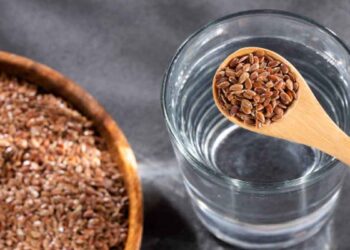 ഫ്‌ളാക്‌സ് സീഡ്സ് കുതിര്‍ത്ത് വച്ച വെള്ളം പതിവായി കുടിക്കുന്നത് കൊണ്ടുള്ള ഗുണങ്ങൾ