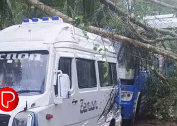 ഇന്നലെ പെയ്ത കനത്ത മഴ: മുക്കം, മാവൂർ, കൂളിമാട് മേഖലകളിൽ വ്യാപക നാശം