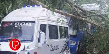 ഇന്നലെ പെയ്ത കനത്ത മഴ: മുക്കം, മാവൂർ, കൂളിമാട് മേഖലകളിൽ വ്യാപക നാശം
