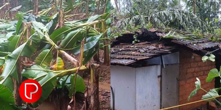 കനത്ത മഴയും കാറ്റും; ചാത്തമംഗലം പഞ്ചായത്തിലെ വിവിധ ഭാഗങ്ങളിൽ വ്യാപക നാശനഷ്ടം