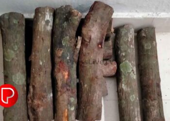 മലാപ്പറമ്പിൽ ജല അതോറിറ്റി ബോര്‍ഡ് വച്ച വാഹനത്തിൽ ചന്ദനം കടത്തി; അഞ്ച് പേര്‍ പിടിയില്‍