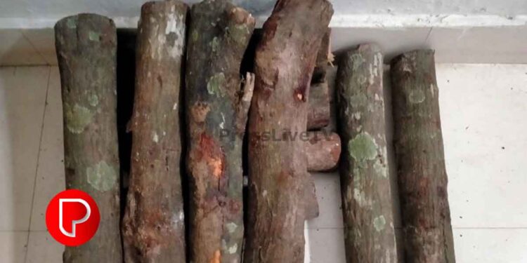 മലാപ്പറമ്പിൽ ജല അതോറിറ്റി ബോര്‍ഡ് വച്ച വാഹനത്തിൽ ചന്ദനം കടത്തി; അഞ്ച് പേര്‍ പിടിയില്‍