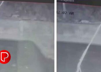 നാരങ്ങാതോട് സിസിടിവിയിൽ പുലിയെപ്പോലെയുള്ള ജീവി; വനംവകുപ്പ് നിരീക്ഷണ ക്യാമറകൾ സ്ഥാപിച്ചു