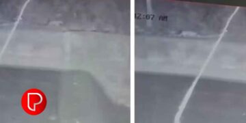 നാരങ്ങാതോട് സിസിടിവിയിൽ പുലിയെപ്പോലെയുള്ള ജീവി; വനംവകുപ്പ് നിരീക്ഷണ ക്യാമറകൾ സ്ഥാപിച്ചു