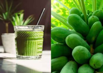 പച്ച പപ്പായ ജ്യൂസ് രാവിലെ വെറുംവയറ്റില്‍ കുടിക്കുന്നത് കൊണ്ടുള്ള ഗുണം