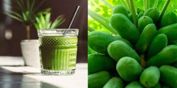 പച്ച പപ്പായ ജ്യൂസ് രാവിലെ വെറുംവയറ്റില്‍ കുടിക്കുന്നത് കൊണ്ടുള്ള ഗുണം