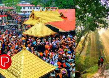 ശബരിമലയിൽ തീർത്ഥാടകരുടെ തിരക്കു കൂടുന്നു; ഇന്ന് രാവിലെ ആദ്യ നാലുമണിക്കൂറിൽ ദർശനം നടത്തിയത് 24592 പേർ