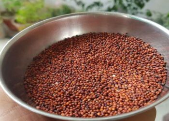 റാഗി കഴിച്ചാലുള്ള ആരോ​ഗ്യ ​ഗുണങ്ങൾ അറിയാമോ ?