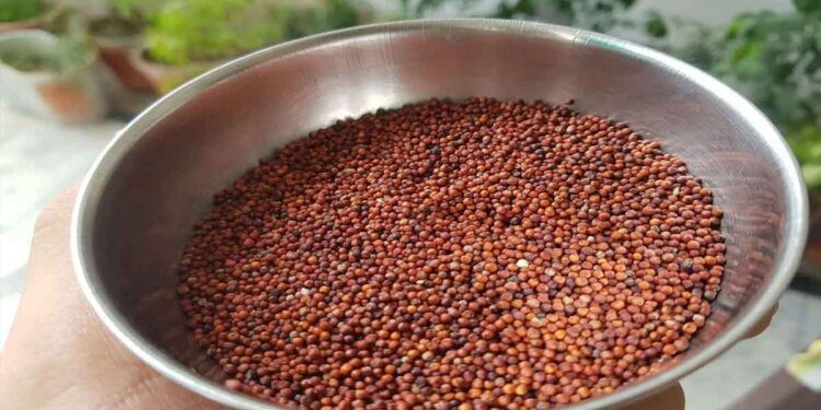 റാഗി കഴിച്ചാലുള്ള ആരോ​ഗ്യ ​ഗുണങ്ങൾ അറിയാമോ ?