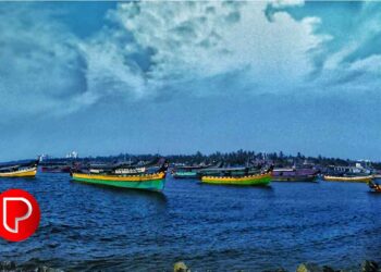 നിയമവിരുദ്ധ മത്സ്യബന്ധനം: കോഴിക്കോട് രണ്ട് ബോട്ടുകള്‍ കസ്റ്റഡിയില്‍