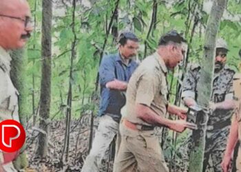 കടുവയുടെ സാന്നിധ്യം; വയനാട് ചുരത്തിൽ ക്യാമറകൾ സ്ഥാപിച്ചു