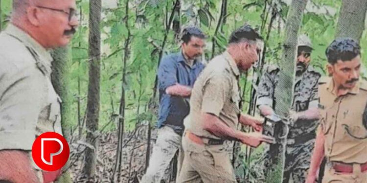 കടുവയുടെ സാന്നിധ്യം; വയനാട് ചുരത്തിൽ ക്യാമറകൾ സ്ഥാപിച്ചു