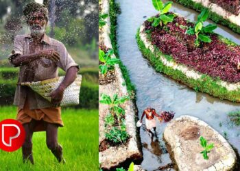 രാജ്യത്തെ ഏറ്റവും ഉയർന്ന ഗ്രാമീണ തൊഴിലാളി വേതനം; ആർബിഐ റിപ്പോർട്ടിൽ കേരളം ഒന്നാമത്