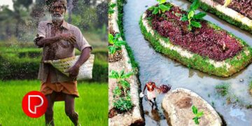 രാജ്യത്തെ ഏറ്റവും ഉയർന്ന ഗ്രാമീണ തൊഴിലാളി വേതനം; ആർബിഐ റിപ്പോർട്ടിൽ കേരളം ഒന്നാമത്